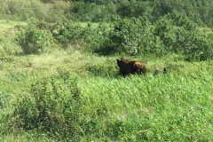 IMG_0284-e1532063371646-768x1024