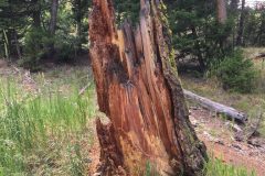 IMG_0213-e1531881794169-768x1024