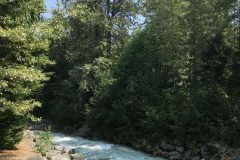 IMG_0499-e1532892131259-768x1024