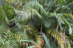 IMG_1764