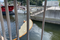 IMG_9869