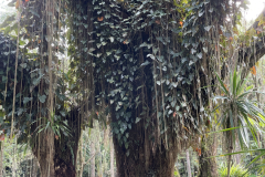 oerbos