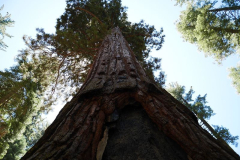 image101