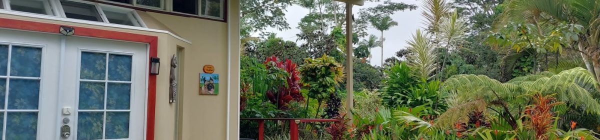  Travel Stories | Ellen van der Woud
